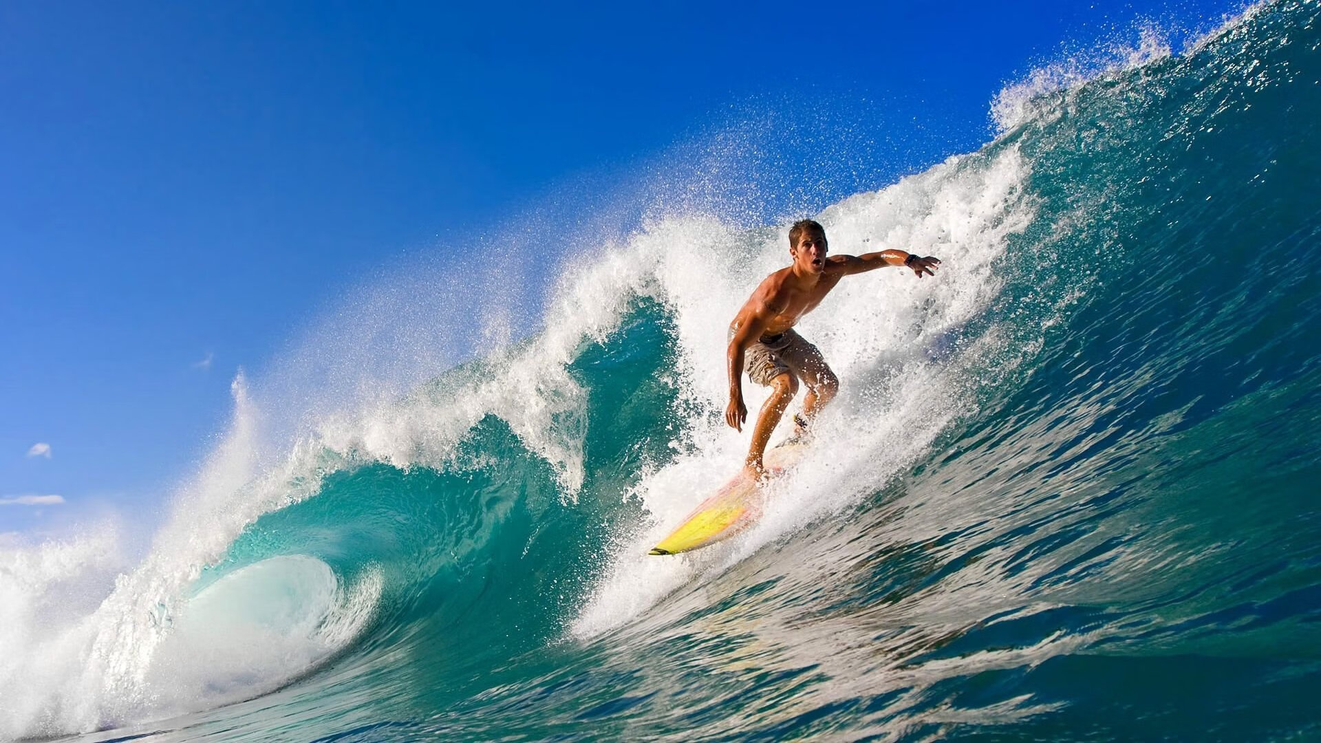 大型户外飞盘接力赛，团队合作的极限挑战，户外活动飞盘玩法